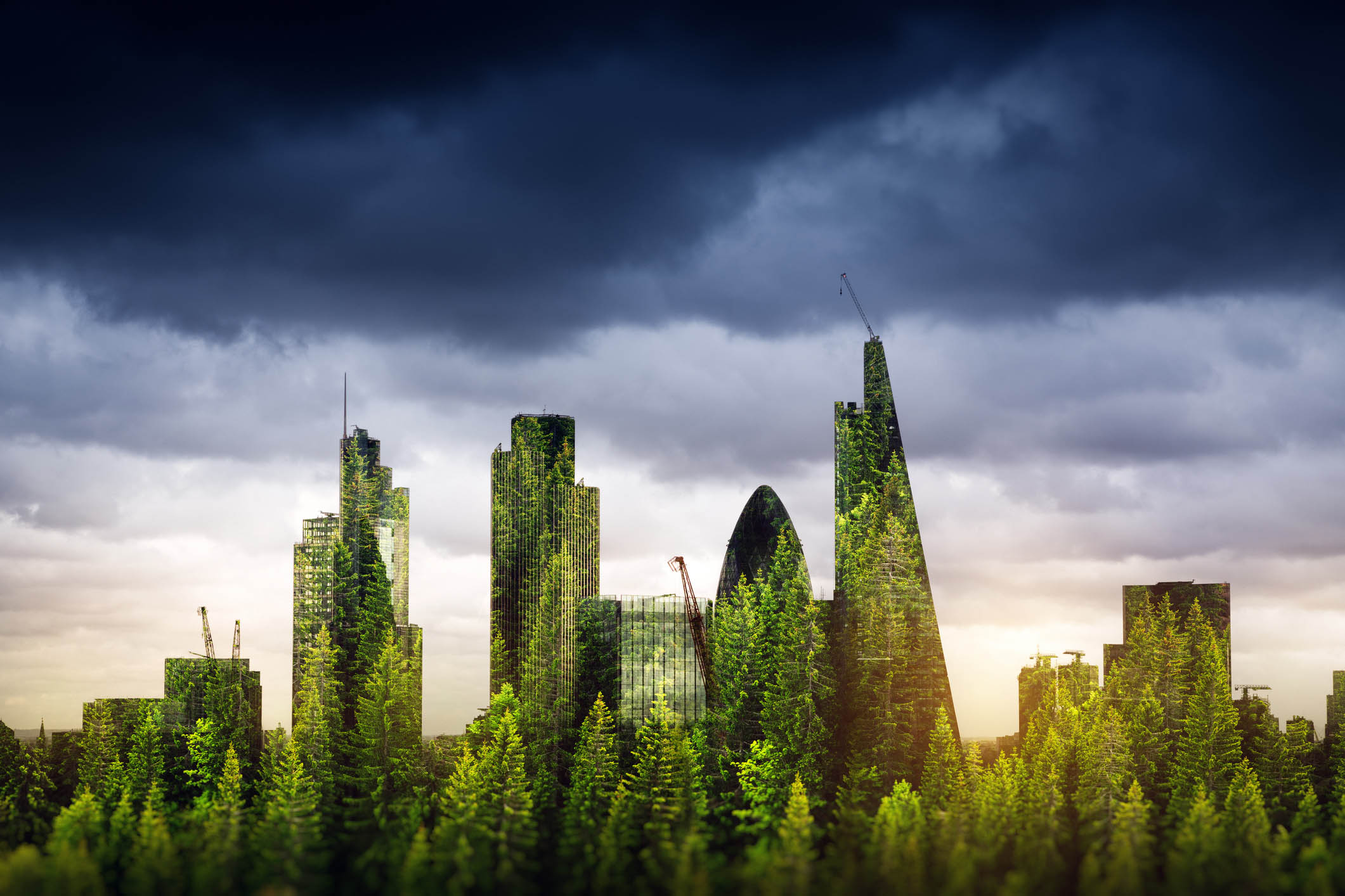 5 Ways to Reduce Embodied Carbon on Your Next Building Project